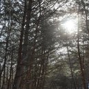 용화산성 이미지