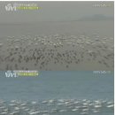 신기가족농장 이미지