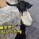 담순이네