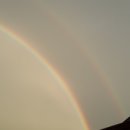 킴스모터스 이미지