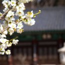 정성드림 중앙일보