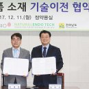 안면청과 이미지