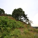 장암진성 이미지