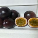 몽산농장 이미지