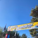 서울랜드 | 5살 아이와 겨울 서울랜드 후기 + 준비물 팁