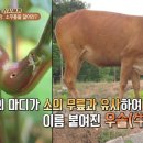 무등산건강원 - 부천시 원미구 부천로121번길 32 | 무등산건강원