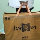 류도현황오리