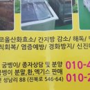 서동굼벵이 네이버블로그