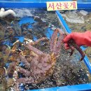 천하고물상 | 4월 11일- 입주 10일차 (점점 완성되어가는 집)