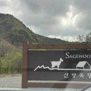 세이지우드 홍천산양목장 이미지
