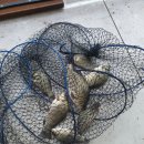 용곡낚시터 이미지