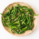 고추 - 여수시 여문문화2길 36 | 고추