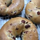 메종드비 이미지