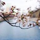 쌍암리주차장 이미지