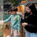 애니멀타임 이미지