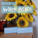 아이뱅크안경원 | 부산 서면역 투명렌즈 찾는다면 I 뉴에버 원데이 아이뱅크 위드렌즈 부산서면점 방문후기