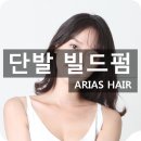 아리아스헤어 이미지