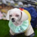 루시펫살롱 이미지