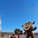 전남 순천 ㅡ순천만습지ㆍ국가정원 이미지