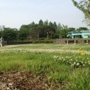프로젝트송송 이미지