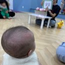 소중한댕 | 동백 플레이풀 브레인쑥쑥 까꿍베이비 수강후기