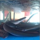 새동래장어구이 이미지