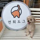 연희도그 이미지