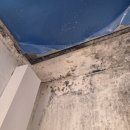 판교대장로5길 이미지