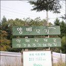 코지목장 이미지