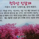 진달래약수터 이미지