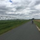 골목을 누비는 물고 | 열두 번째 날.