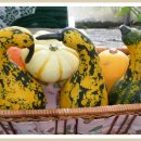 하늘내린농장 이미지