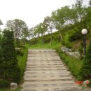 명륜자연유치원 이미지