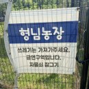 시흥승마힐링체험장 이미지