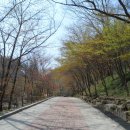 강천산군립공원(구장군폭포) 이미지