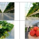 내곡동459 이미지