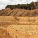 아산우체국 버스정류장 이미지