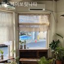 원스페이보릿나타