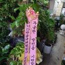 새솔 행정사 사무소 이미지