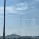 뚝섬 한강공원 돗자리 대여 후기