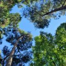 송돗골 - 하남시 | 송돗골