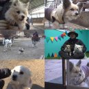 베테랑목장 이미지