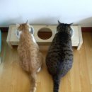 VIP우리약국 이미지