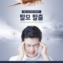 전호성헤어 이미지