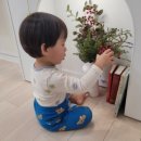 하이푸드 이미지