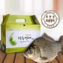 낚시만세 이미지