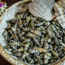 &#34;다슬기 먹고 대장 내시경 받았다가 깜짝&#34;···60대 몸에서 발견된 &#39;희귀 기생충&#39;﻿ 이미지