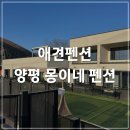 몽이네컷 | 양평 몽이네 펜션 104호 ㅣ 애견펜션 1박 2일 후기 with 시바견