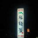 청년오리