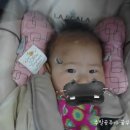 재윤농장 티스토리